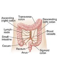 In the second example below, an em dash is more common than a colon, though the use of a colon is nevertheless correct. How The Colon Works Saint Luke S Health System