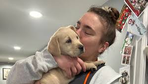 Fundraiser by Abigail Joseph : Give a Paw, Help Abigail Become a  Veterinarian!