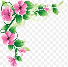 Check the indoor plant for green leaves that have white, yellow or pink variegation to identify the chicken gizzard plant (iresine herbstii identify the wax begonia (begonia semperflorens or begonia sp.) by its succulent, rounded overall growth habit and its white, pink or red small flowers. Pink Leaves Png Images Pngegg