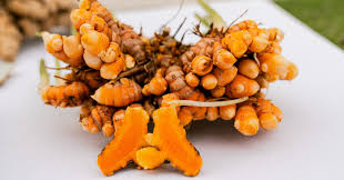 Image result for Afroligusticum runssoricum