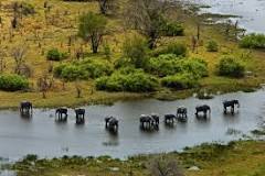 Image result for How Much is Botswana Desert Visit