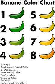 Banana Color Chart Banana Color Chart By Jhnri4 Banana