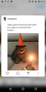 Nisan Adli Kullanicinin Burc Panosundaki Pin 2020 Komik Seyler Komik Ikizler Burcu