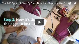 After about a week following the procedure, your doctor may want to check your progesterone levels and your uterine lining with an ultrasound. The Ivf Cycle A Step By Step Timeline Video Reproductive Resource Center Kansas City Ivf Reproductive Resource Center Kansas City Ivf