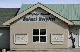 Animal medical hospital glenwood is your local veterinarian in glenwood serving all of your needs. Silt S Divide Creek Animal Hospital Shuts Its Doors Postindependent Com