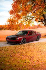 Image result for Octane Red 2018 Fleet