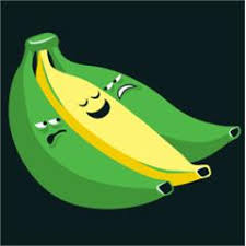 images?q=tbn:ANd9GcT3Dlt-z3KkiFCPeKOroG4