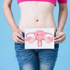 Wenn sich der muttermund öffnet, dann löst sich meist der propf ab.das ist ein kleines blutiges klümpchen. Muttermund Was Er Mit Dem Eisprung Und Den Fruchtbaren Tagen Zu Tun Hat Barbara De