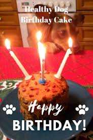 Push 1/2 the dough into each of the muffin cups. Healthy Dog Birthday Cake Cake Recipes For Kids Dog Food Recipes Healthy Birthday