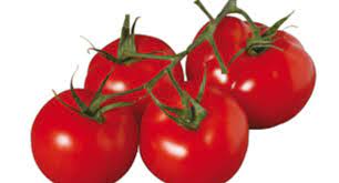 Цена на декларацию от 7000 рублей. Des Serres A Tomates Chauffees Par Une Usine Voisine