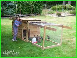 Kandang ayam yang baik adalah kandang yang bisa menjadi tempat hidup yang nyaman untuk apabila anggarannya tidak ada, pagar juga bisa dibuat menggunakan bahan terbuat dari bambu kandang ayam bangkok ini dibuat dengan ukuran yang ideal, yaitu panjang 1,5 meter, lebar 1. Kandang Ayam Bangkok Yang Sederhana Tetap Kreatif Dan Modern Dunia Fauna Hewan Binatang Tumbuhan