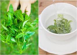 Maybe you would like to learn more about one of these? Manfaat Daun Kemangi Untuk Pria Dan Wanita Plus Cara Mengolahnya Harian 08