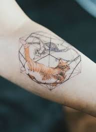 Schrödingers katze ist ein gedankenexperiment aus der quantenphysik. 35 Schrodingers Katze Ideen Schrodingers Katze Katzen Katze Tattoo