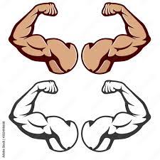Bodybuilder muscle flex arm vector illustration. Strong macho biceps gym  flexing hand vector icon isolated on white background. Vector EPS 10 Stock  Vector | Adobe Stock