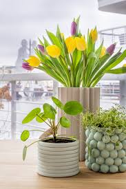 Pots, grow lights, table and. Diy Geometric Plant Pots Easy Almost Free Craft Project