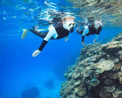 diver swimming through a coral reef in the crystal clear waters of the Kerama Islands.の画像