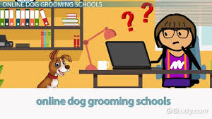 Choosing to go through with this option will likely result in a higher salary. Online Dog Grooming Schools How To Choose