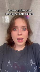 Female Spiders: Advanced Behaviors Revealed