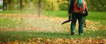 Seasonal yard cleanup