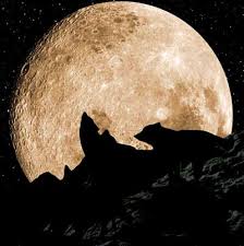 Besonders in den vollmondnächten zieht uns die silbrig strahlende kugel am sternenhimmel immer wieder aufs neue in ihren bann. Scinexx Das Wissensmagazin