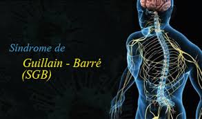 Entre el 60 % y el 80 % de las personas pueden caminar a los seis meses. Vigilancia Prevencion Y Control Del Sindrome De Guillain Barre Cdc Minsa