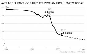 babies per woman