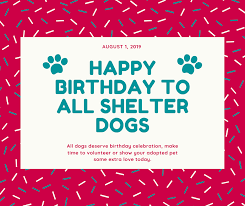 % of readers think this story is fact. Universal Birthday For Shelter Dogs August 1st Pet Love