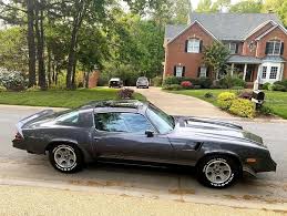 Image result for Dark Chamois 1981 Motor Home