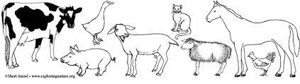 Little cat with ribbon animal s6b81. Farm Animals Pets And Gardens Coloring Pages