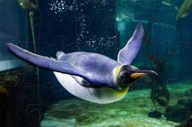 Send puzzle postcards to friends, puzzle of the day Online Jigsaw Puzzles Kids Edition Darling Harbour