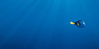 Check spelling or type a new query. Cinema Romantico Finding Dory