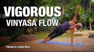 Vinyasa yoga with lauren marmol. Vigorous Vinyasa Flow Yoga Class 30 Min Five Parks Yoga Youtube