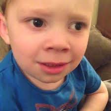 College Life As Told By 20 Gavin Memes In 2020 Meme Faces Confused Meme Reaction Face