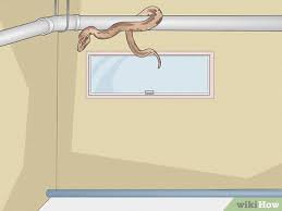 See full list on wikihow.com 6 Ways To Deal With A Snake In The House Wikihow