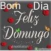 «hoje é domingo dia : 1