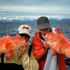Stream Fishing And Sport Fishing Charter Tours Alaska Wilderness Charters Call 907 419 4474