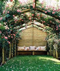 10 Kletterpflanzen Fur Pergola Traumhafte Sitzplatze Im Garten Gestalten Hinterhofideen Hintergarten Landschaftsbau Ideen