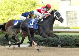 Image result for kentucky derby images 2016 ago