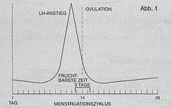 Ähnlich wie ein schwangerschaftstest misst er den anstieg eines. Ovulationstest Schwanger Werden Mit Lh Test Eisprungtest 9monate De