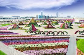 Maybe you would like to learn more about one of these? Dubai Miracle Garden Slice Of Heaven On Deserts Traveldigg Com