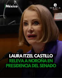 🇲🇽 Laura Itzel Castillo fue designada por Morena como la próxima  presidenta del Senado de la República, cargo que asumirá el 1 de septiembre  en relevo de Gerardo Fernández Noroña. Un liderazgo