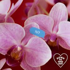 What do you do if you have a crush? How To Tell Your Crush You Like Them Teen Vogue