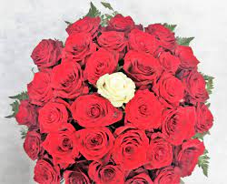 Poi dopo aver ricevuto un bel mazzo così le foto con la toga navigazione articoli. Centrotavola Di Rose Rosse Con Una Rosa Bianca Centrale Iviare Fiori A Milan