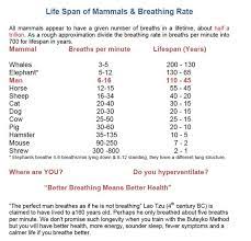 Image Result For Pranayama Chart Basic Yoga Poses Pranayama Pranayama Breathing