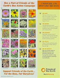 Menupause Blog Archive Bee Flowers Chart And Bee Action