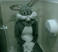 Latest Bathroom Ideas Gifs Get The Best Gif On Giphy