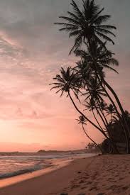 500 pink sky pictures download free images on unsplash. 50 Gorgeous Beach Wallpaper Iphone Aesthetics That Are Free