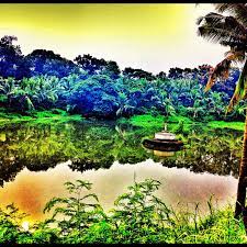 Bordering the lake is a park when one alabang is the closest gateway to jamboree lake. Jamboree Lake Found In Muntinlupa City Smallest Lake Philippines Travel Beautiful Places Small Lake
