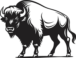 bizon buffel silhouetten, bizon buffel dieren silhouet 21637089 Vectorkunst  bij Vecteezy