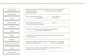 Die rolle von insulin im stoffwechsel. Solved Review The Steps Involved In Steroid Hormone Synth Chegg Com